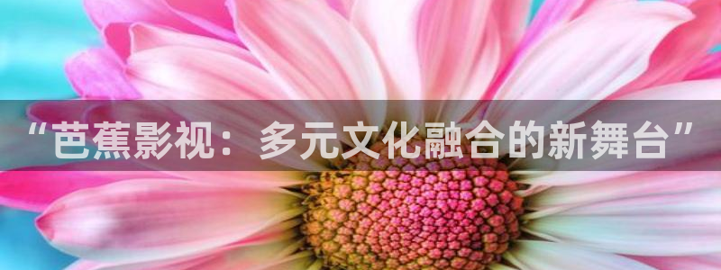 九九视频区：“芭蕉影视：多元文化融合的新舞台”