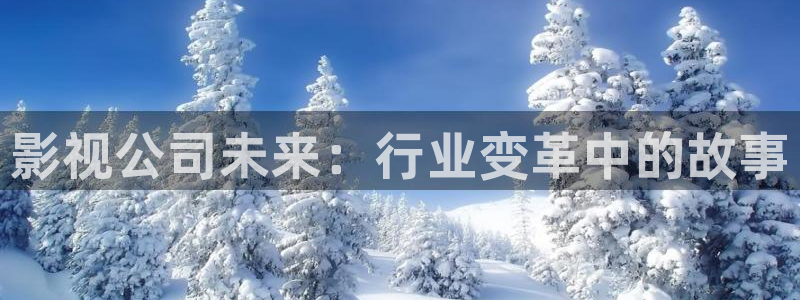 九九免费视频：影视公司未来：行业变革中的故事